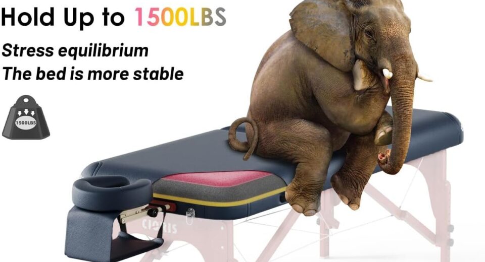 CLORIS 84″ Luxury Massage Table